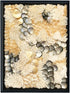 Natural Coral With Gold and Silver Abalone Wall Art